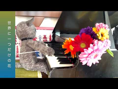 世界に一つだけの花 (ピアノ/トイピアノ/32鍵盤/SMAP) - 槇原 敬之