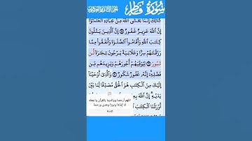 تلاوة خاشعة سورة فاطر الاية 30