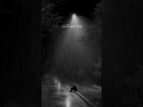 حتى إذا ضاقت عليهم الأرض بما رحبت تلاوة عذبة للقارئ منصور السالمي Quran القرآن الكريم قرآن