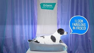 Frisco Fashion Pet Beds | Chewy screenshot 5