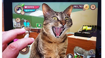 Cat Sim Online: Level 29 - Play with Cat Clan Pet Simulator 2 Android Gameplay Tv Video #14