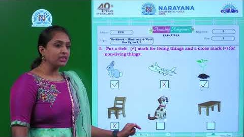 28TH JUL KARNATAKA EVS CLASS I ASSIGNMENT KEY