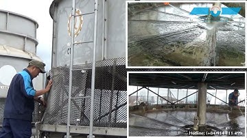 Long Trường Vũ - Vệ Sinh Tẩy Rửa Rong Rêu Tháp Giải Nhiệt Có Thật Sự Quan Trọng?.