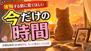 猫を見送ったあとに気づく「何気ない日常」の大切さ