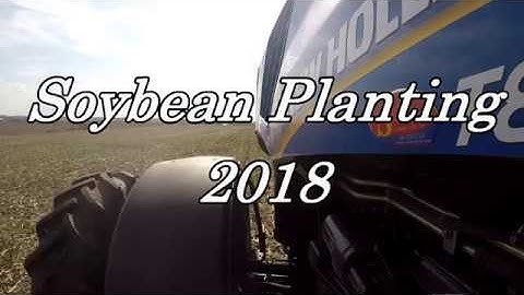 First Of Soybean Plant 2018!