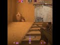 3k clutch #csgo #cs #cs2 #gaming #counterstrike #donk #simple #trend #fyp #explorepage #csgoclips
