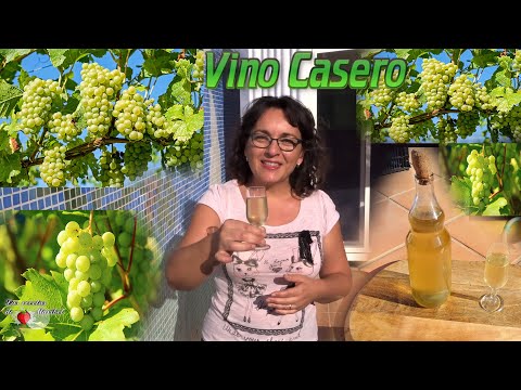 Video: Cómo Hacer Vino Blanco