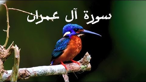 سورة آل عمران | تلاوة خاشعة | صوت مريح للنوم والشفاء والبركة | اكتب شيء تؤجر عليه |القارئ شريف مصطفى