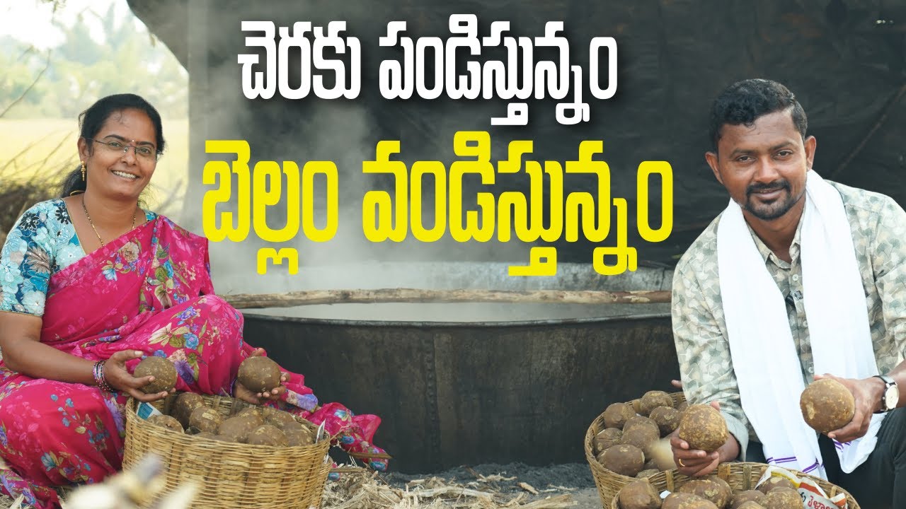 చెరకు తోటలో బెల్లం తయారీ | Jaggery Making @ Sugarcane Farm