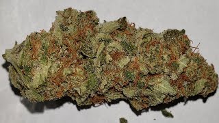 Strain Review - Killer Queen