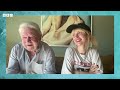 Paramore's Hayley Williams on grandad’s lost music - Lives Less Ordinary podcast, BBC World Service
