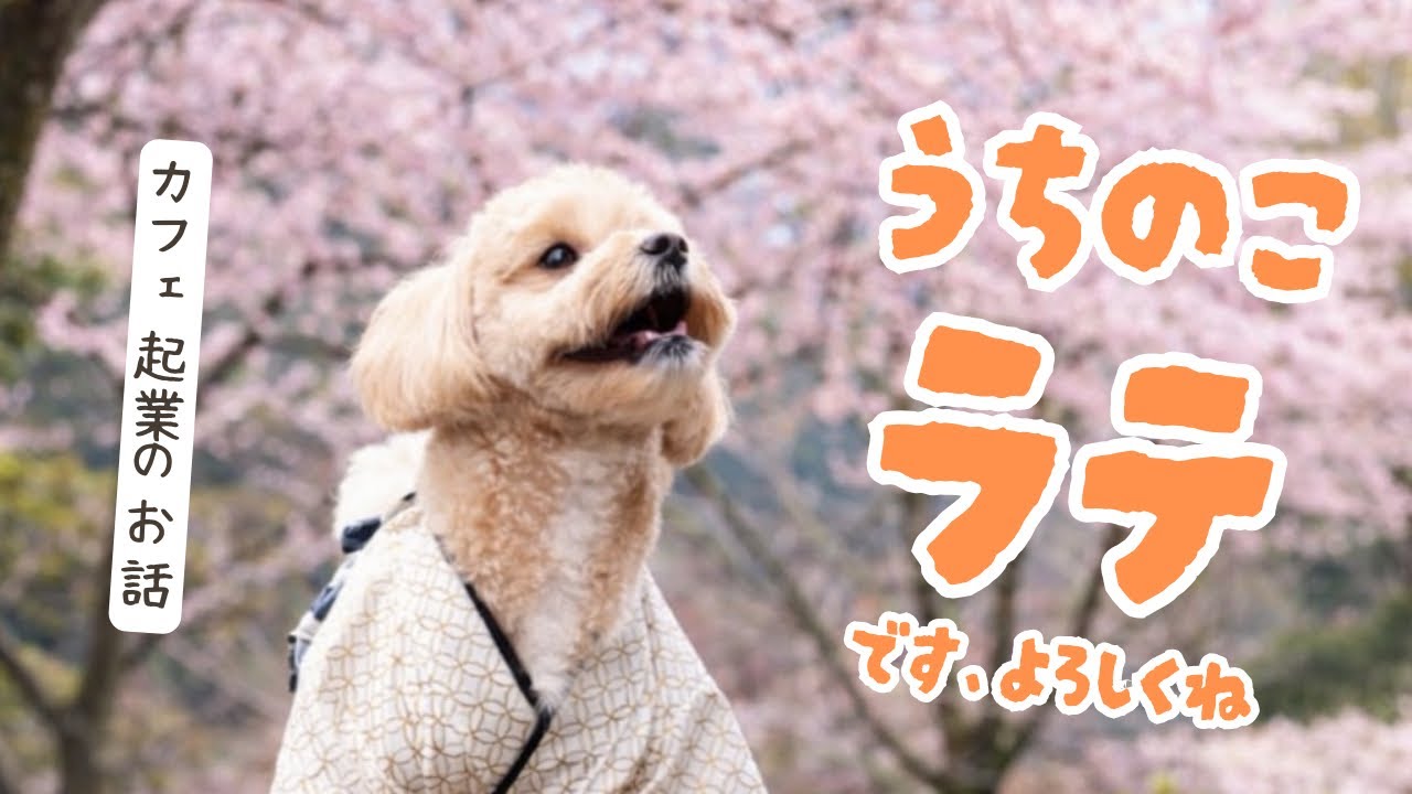 【カフェ起業】23歳、犬とカフェをつくることを決めました🎂❕#1