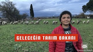 12 YAŞINDAKİ ŞEVKİYİ GÖRENLER ŞAŞIRIYOR ~ KOYUN MU KEÇİ Mİ ÇOK KAZANDIRIR ?