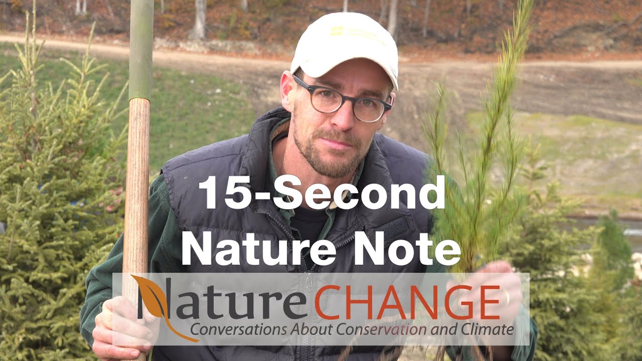 camera iphone 8 plus apk 15-Second Nature Note