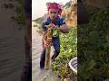 Traditional fishing idea by trap in bamboo  #fishing #amazing