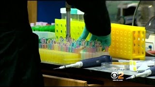 Southland Lab Hopeful Over Ebola Research Discovery