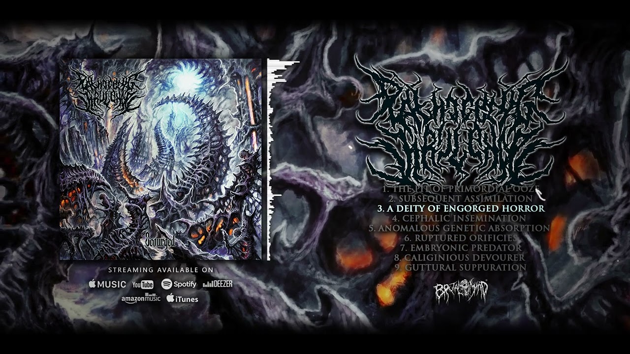 洋楽 Deathcore/Spontaneous underground Deathcore – Spontaneous Underground – Vinyl (LP, Album, Test