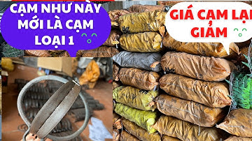 3/10 tiếp tục báo giá cạm kiềng bẫy chồn 16cm loại 1☎️0327.687.113