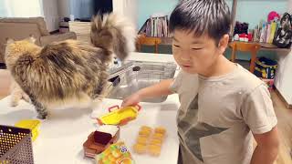 Daily Life in Japan simple life simple family by Bee Abe 76 views 2 years ago 12 minutes, 44 seconds