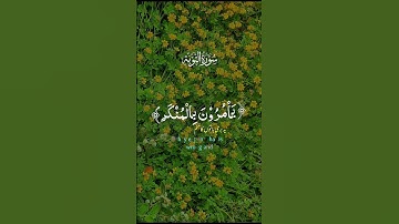 آيات بينات من الذكر الحكيم بصوت رائع 🌹