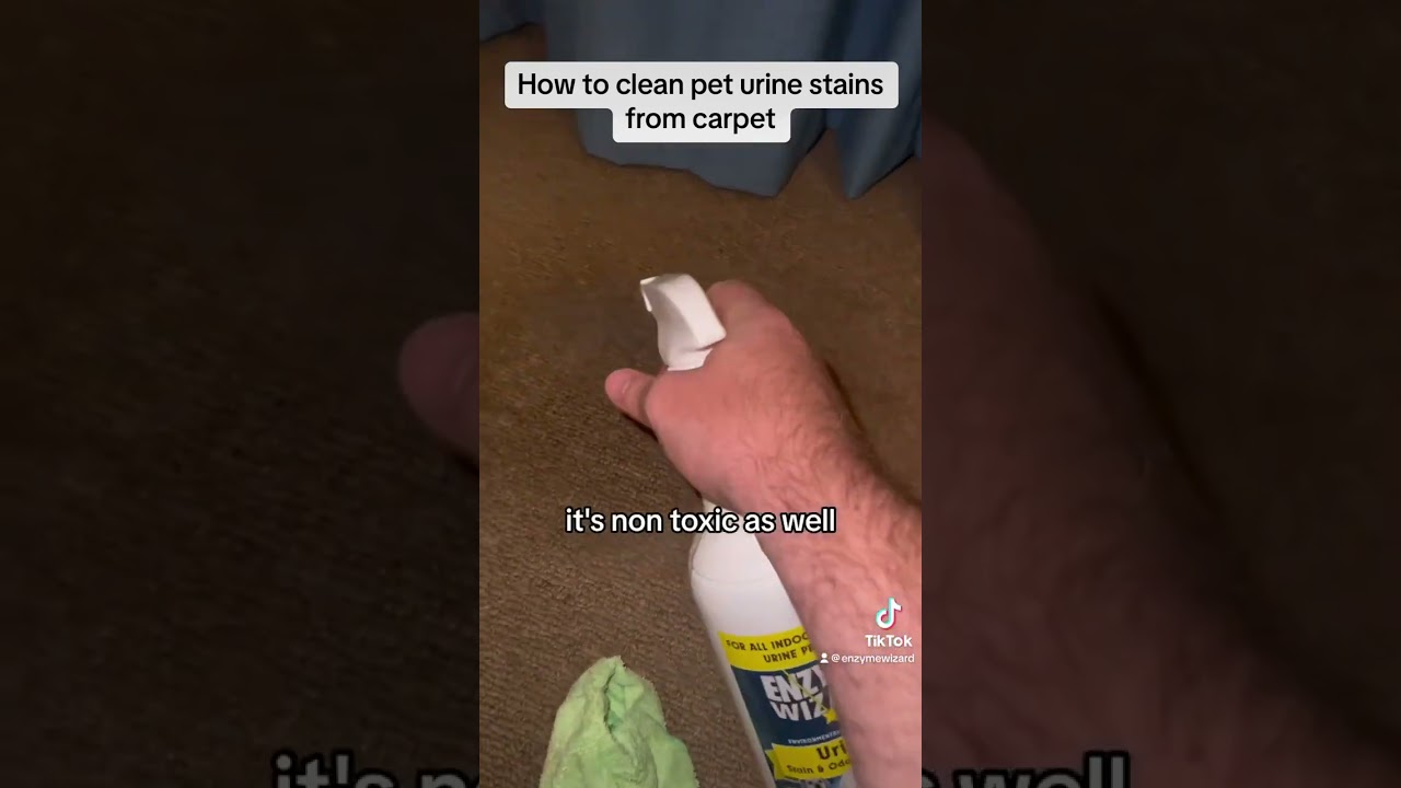 How to remove pet urine stains from carpet?