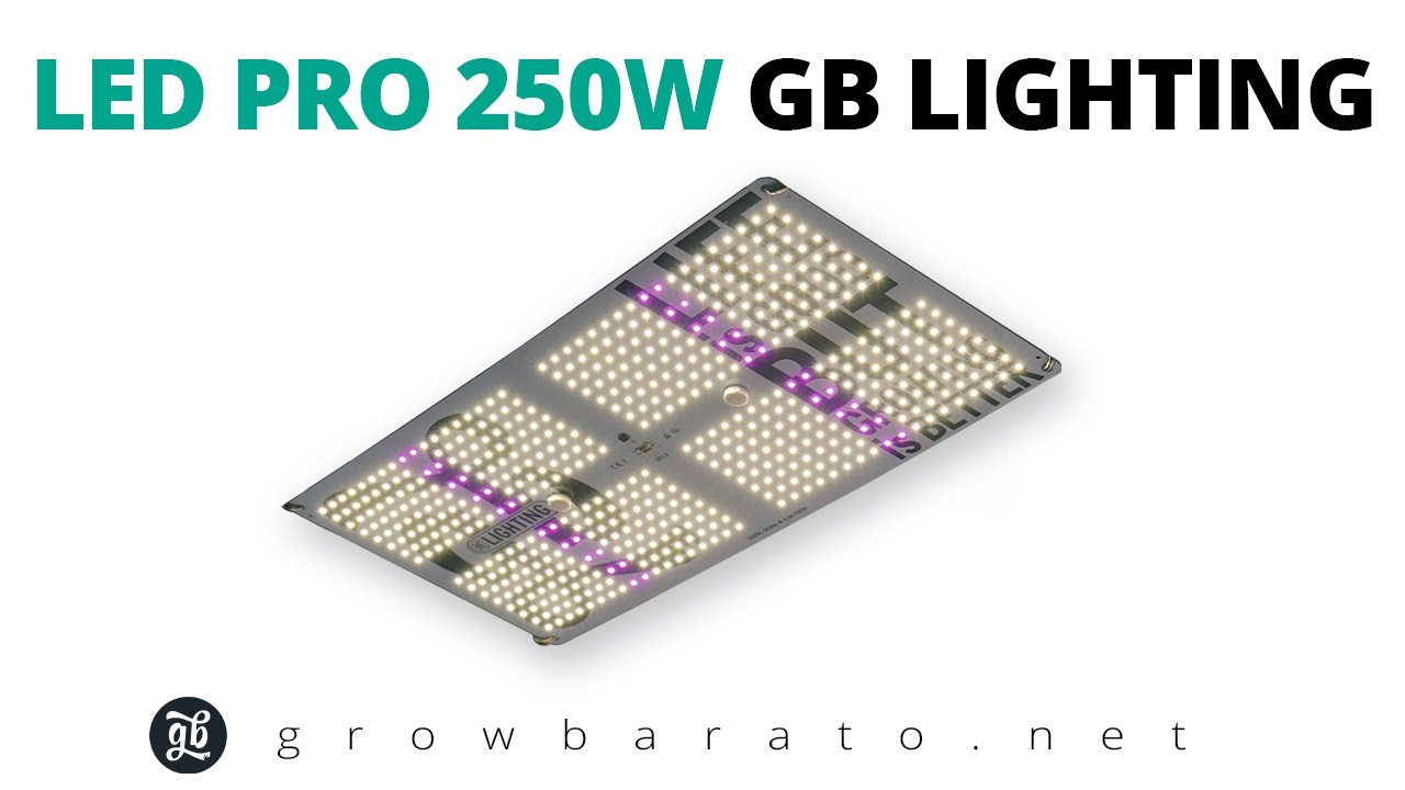 PANEL LED 250W GB | Ilumina tus cultivos de interior| Growbarato - GB The Green Brand