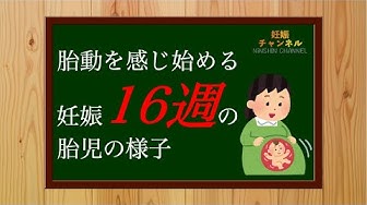 胎動 Youtube