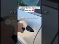 Dog gets saved from burning hot car