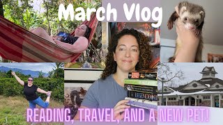 Reading, Travel and new Pets - March Reading Vlog
Hi Readers,
March was a crazy month... I took a trip to Costa Rica, I came home to a new baby girl - Swiper, and both my job and life have been busy busy busy! At the end of the day though, its all good stuff :)
If you enjoyed my vlog, let me know which parts you liked - reading stuff, pet stuff, random stuff.... just stuff!
Q: How was your reading journey last month?
FOLLOW ME ON INSTAGRAM:
https://www.instagram.com/kris_reviews/
PINTEREST:
https://www.pinterest.com/KrisReviews
Books Mentioned:
Seize the Night by Sherrilyn Kenyon
Crown of Midnight by Sarah J. Maas
The Gilded Ones by Namina Forna
Legendborn by Tracy Deonn
The Green Mile by Stephen King
Britt-Marie Was Here by Fredrik Backman
The Raven King by Maggie Steifvater
Dragon Haven by Robin Hobb
Babel, An Arcane History by R.F. Kuang
One Last Stop by Casey McQuinston
Truly Devious by Maureen Johnson
Lobizona by Romina Garber
The Seven Husbands of Evelyn Hugo
The Serpent of Venice by Christopher Moore
Chosen Ones by Veronica Roth
#reading
#readingvlog
#monthlyreading
#monthlyreadingvlog
#ferretrescue
#booksandpets
#petsandbooks
#costarica
#puravida
#travelvlog
#chosenones
#veronicaroth
#theserpentofvenice
#christophermoore
#thesevenhusbandsofevelynhugo
#taylorjenkinsreid
#lobizona
#rominagarber
#trulydevious
#maureenjohnson
#onelaststop
#caseymcquinston
#babel
#rfkuang
#dragonhaven
#robinhobb
#legendborn
#tracydeonn
#thegreenmile
#stephenking
#seizethenight
#sherrilynkenyon
#brittmariewashere
#fredrikbackman
#crownofmidnight
#sarahjmaas
#theravenking
#theravencycle
#maggiestiefvater
#thegildedones
#naminaforna Reading, Travel and new Pets - March Reading Vlog