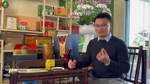 Giới Thiệu Các Set Quà Biếu Cao Cấp - Trà Đinh Tiến Vua | TRAVINA - Trà Tân Cương Thái Nguyên