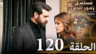الحلقة 120 | مسلسل زهور الدم | مدبلج بالعربية | Kan Çiçekleri