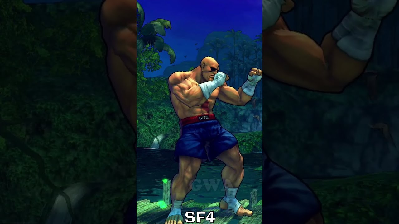 Street Fighter Sagat Win Poses