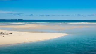 Honeymoon Island & Caladesi Island State Parks, FL