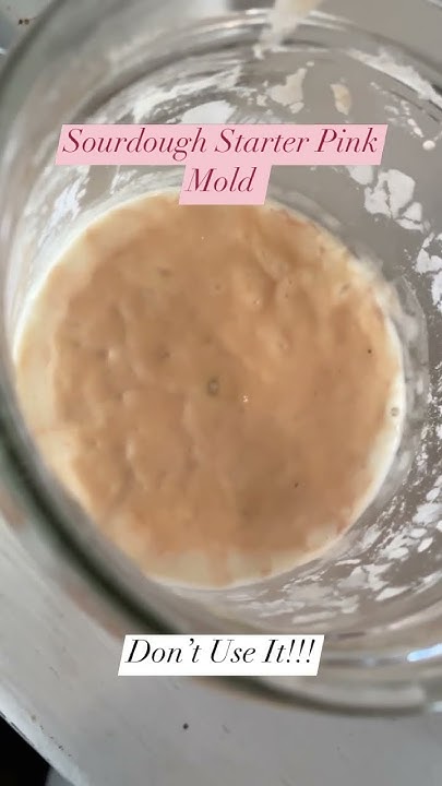 sourdough-starter-pink-mold-sourdoughstarter-youtube