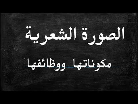 الدري اللغوي 2 الثانية باك الصورة الشعرية مكوناتها ووظائفها