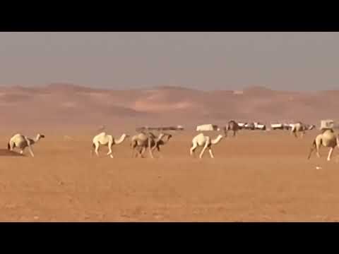 عيناك هجيءني