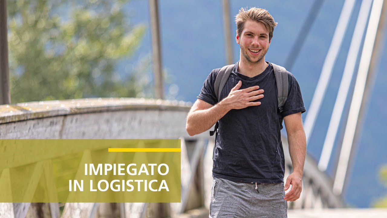 IMPIEGATA LOGISTICA FORMULARI visual data 7