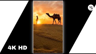 Rajasthani Status Rangilo Rajasthan Status Rajasthani Dhora Status Jaisalmer Dhora