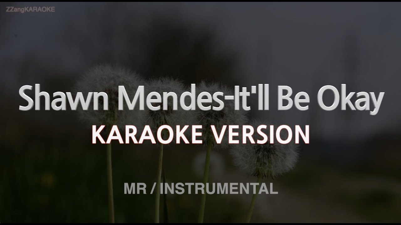 Shawn Mendes-It'll Be Okay (MR/Instrumental) (Karaoke Version)