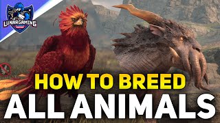 All 13 Animals Location and How To Breed Them - Hogwarts Legacy - YouTube