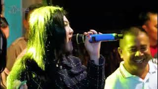 PECAH SERIBU (ALL ARTIST) - DK MUSIK // HAPPY PARTY SANGKLUR UNITY COMEBACK