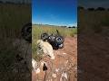 Homemade RC Tank Test #homemade #rc