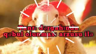 Whatsapp üçün statuslar Qurban Bayramı videoları Qurban Bayramı statusları