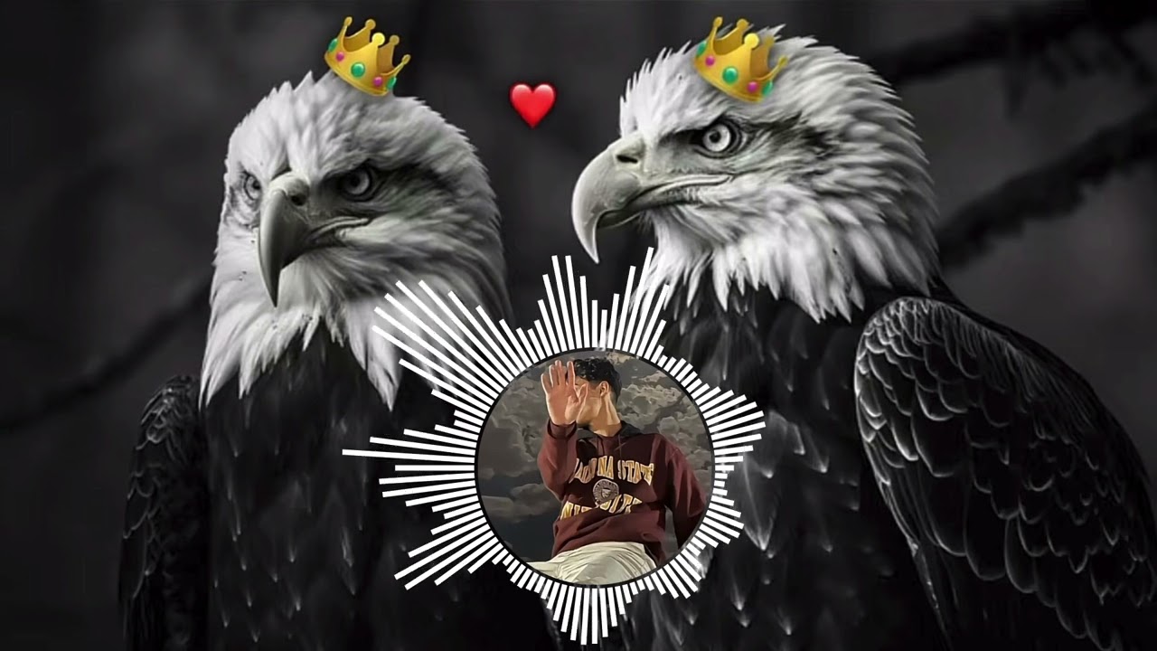 🍃🍃🍃🥀🥀🫵