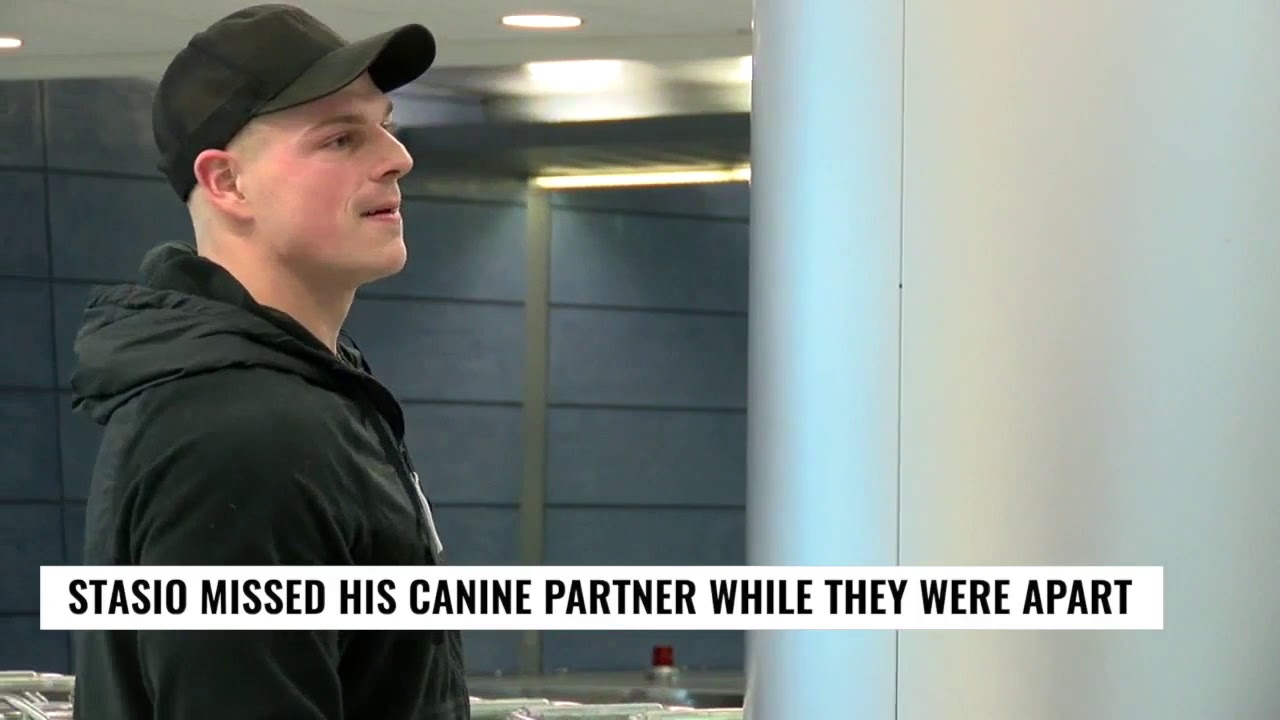 Check This Out: Marine reunited with military working dog - YouTube
