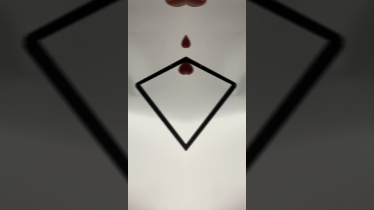 Carbon fiber frame for number plate 