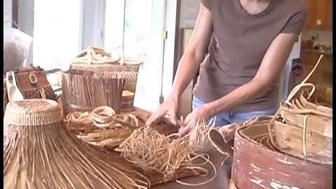 Cedar Harvesting with Brenda Crabtree,  Emily Carr University of Art + Design