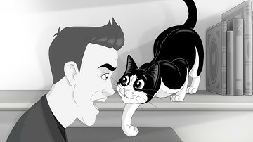 Felix & Robbie Williams Mini movie