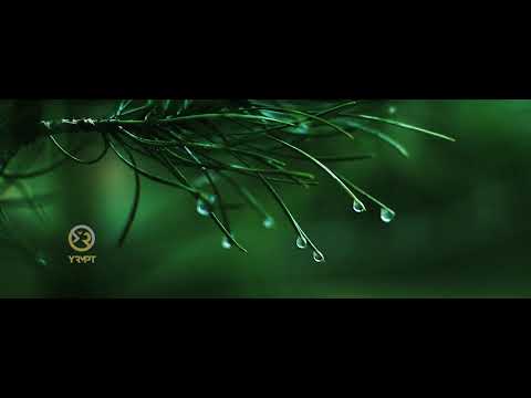 1400   سال جدید 1400    2021