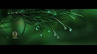 1400 New Year - سال جدید 1400 Yrmpt Official Video 2021